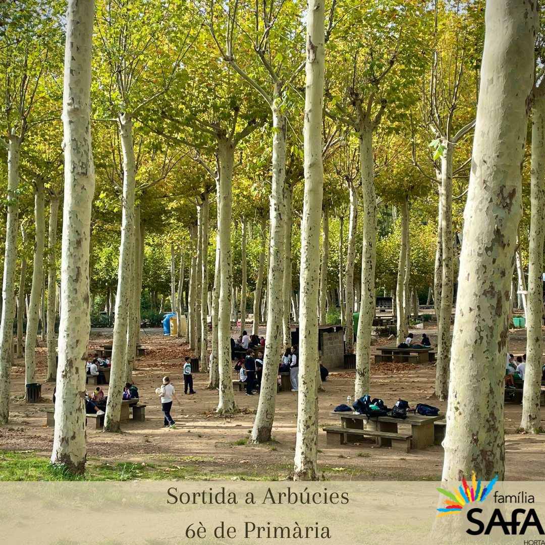Sortida de 6è EP a Arbúcies
