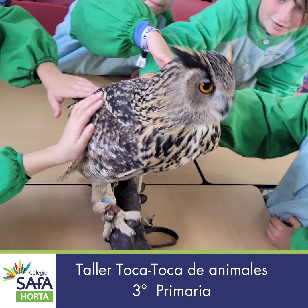 3º EP. Taller Toca-toca de animales