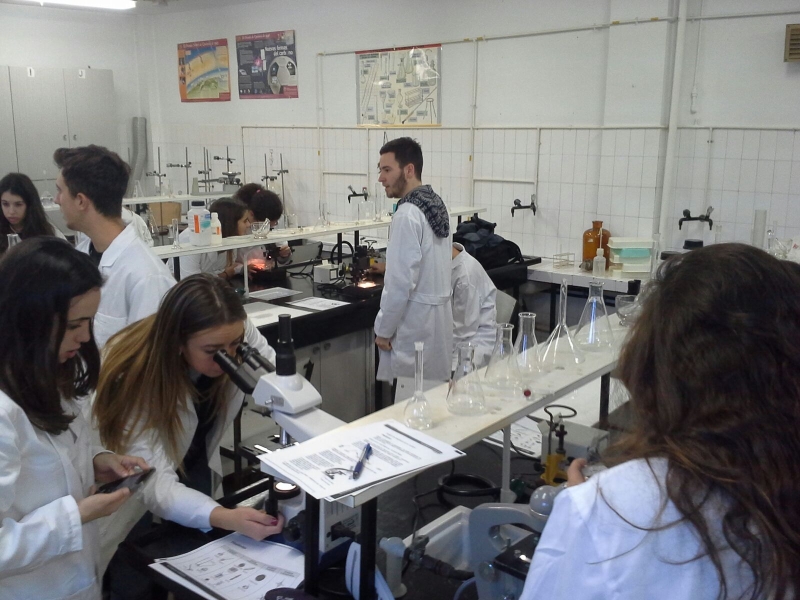 Hacemos Biología en el laboratorio