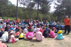 Colònies 2n de Primària-2n dia a la tarda