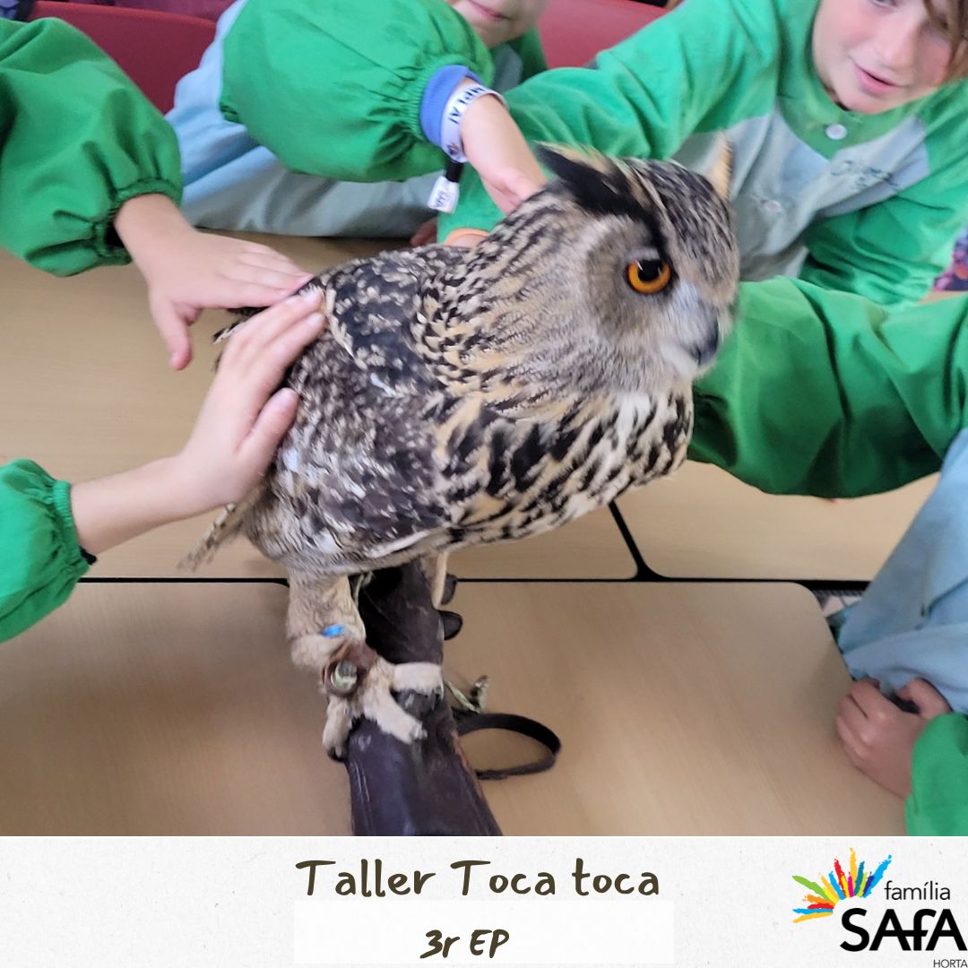 3r EP fem el taller Toca-toca d’animals